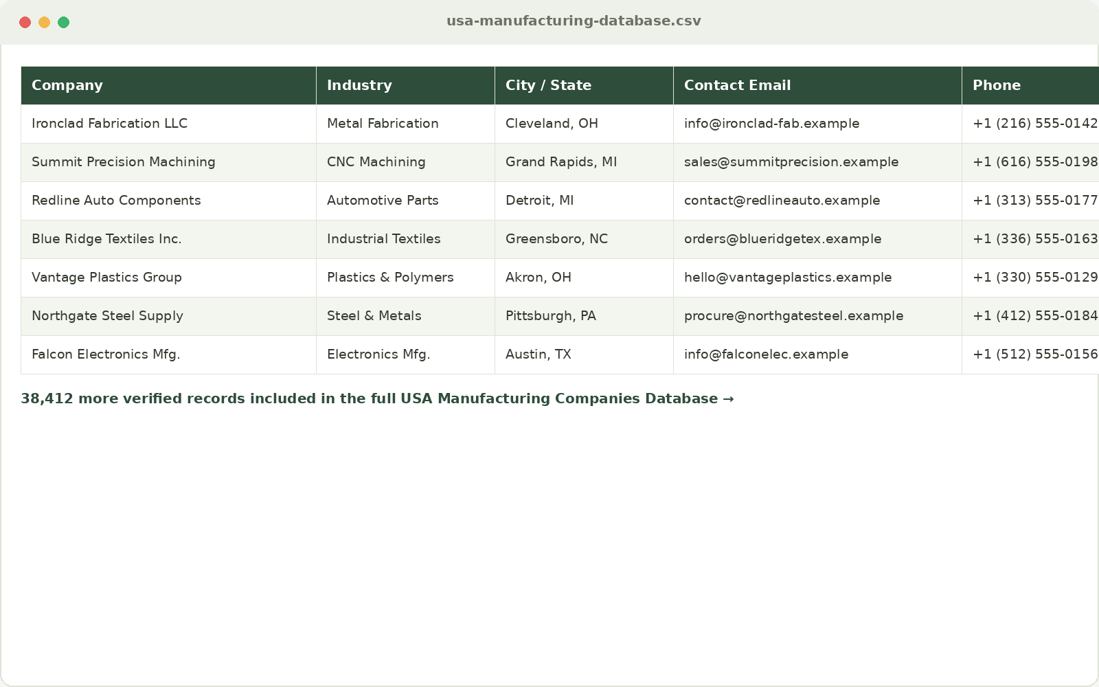 Sample rows from a Global Database export showing company, industry, city, email and phone columns